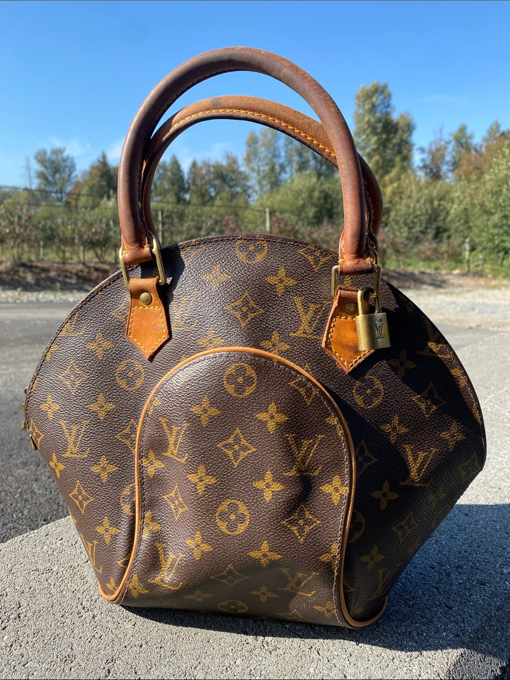 Louis Vuitton Monogram Ellipse PM Top Handle Bag